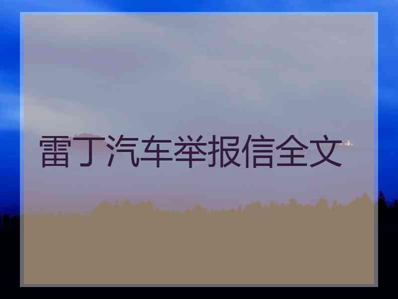 雷丁汽车举报信全文