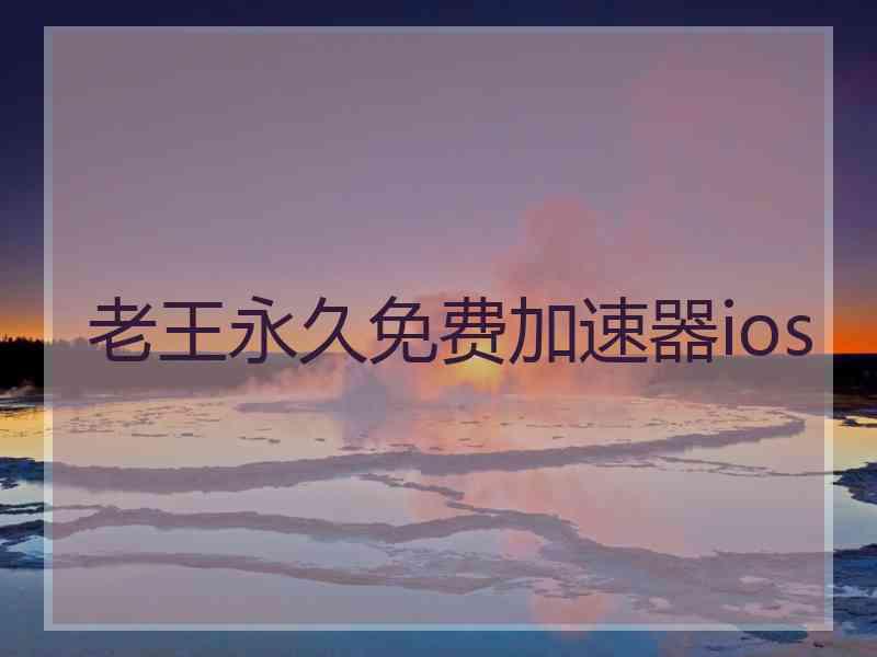 老王永久免费加速器ios