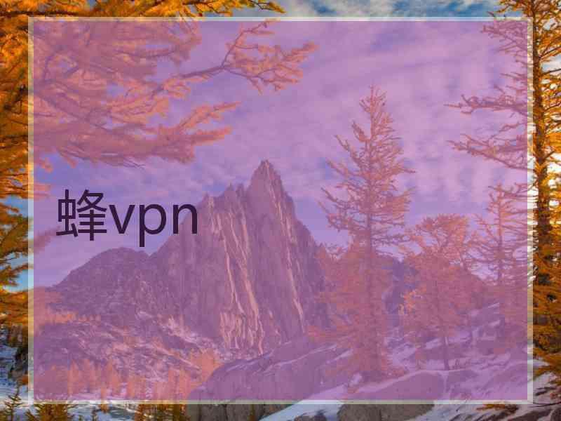 蜂vpn