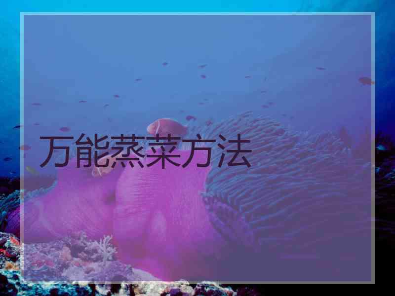 万能蒸菜方法