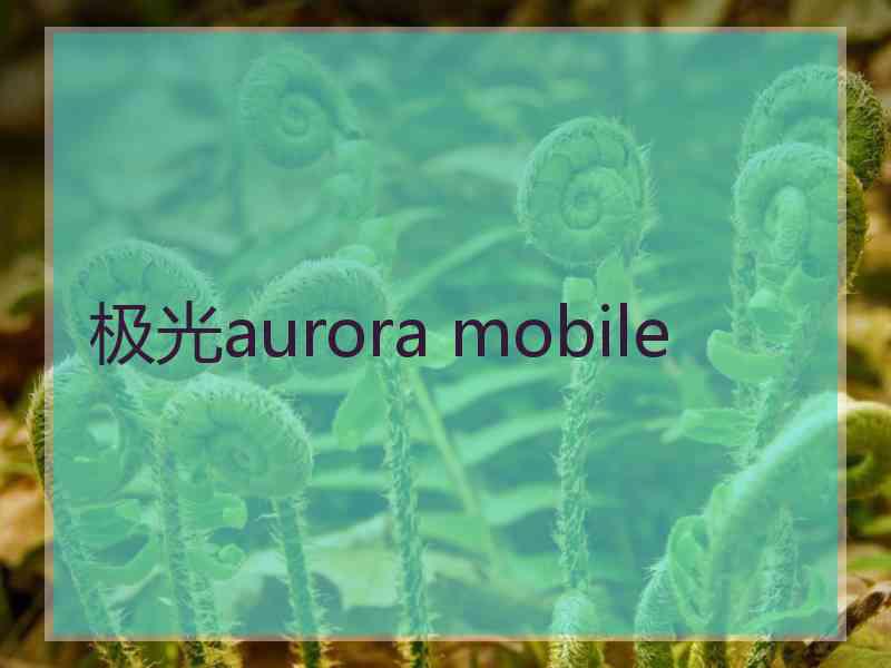 极光aurora mobile