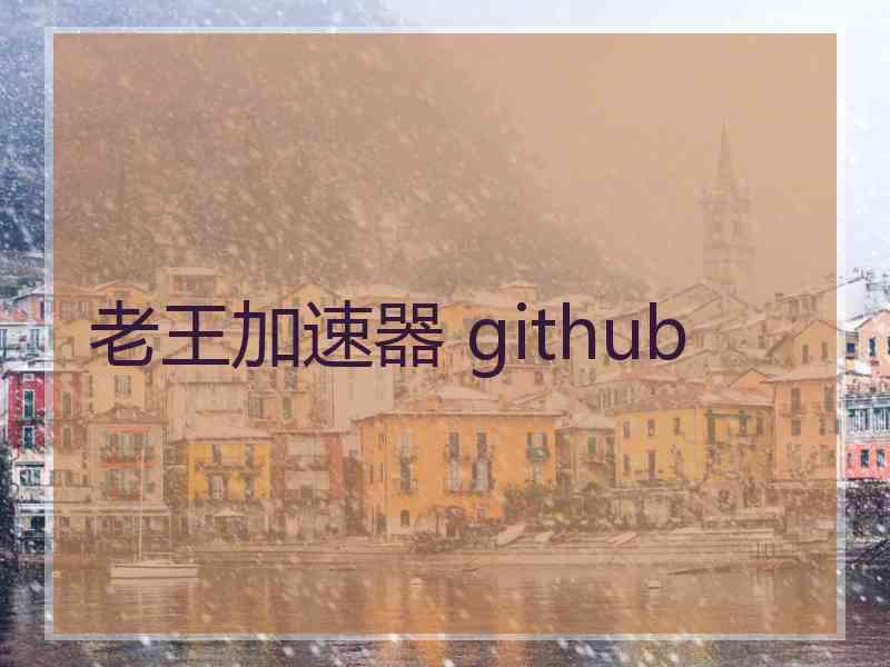 老王加速器 github