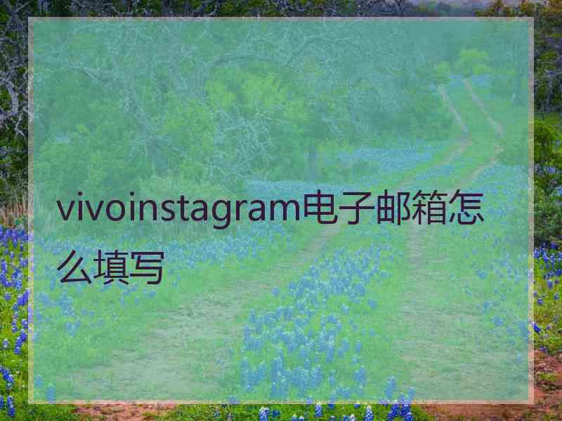 vivoinstagram电子邮箱怎么填写