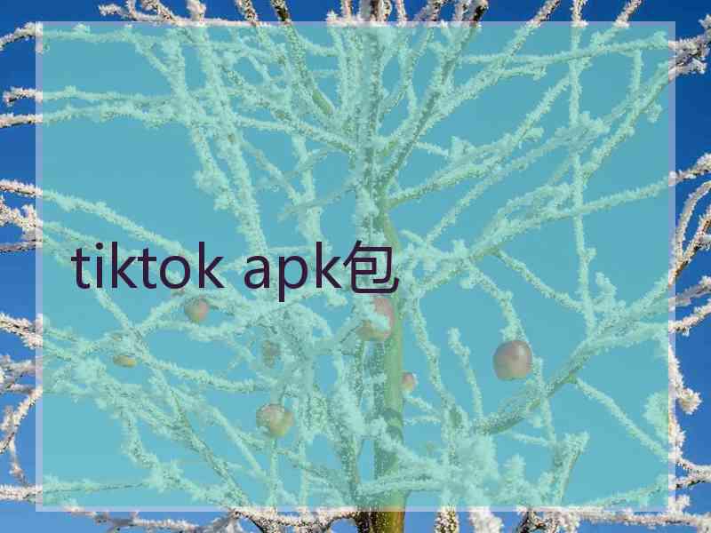 tiktok apk包