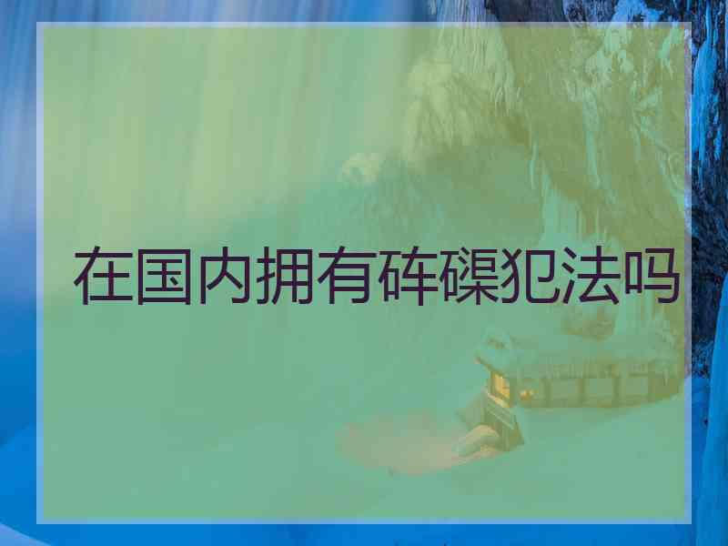 在国内拥有砗磲犯法吗