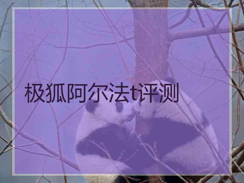 极狐阿尔法t评测