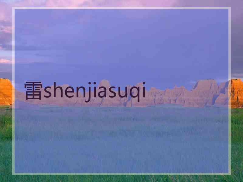 雷shenjiasuqi