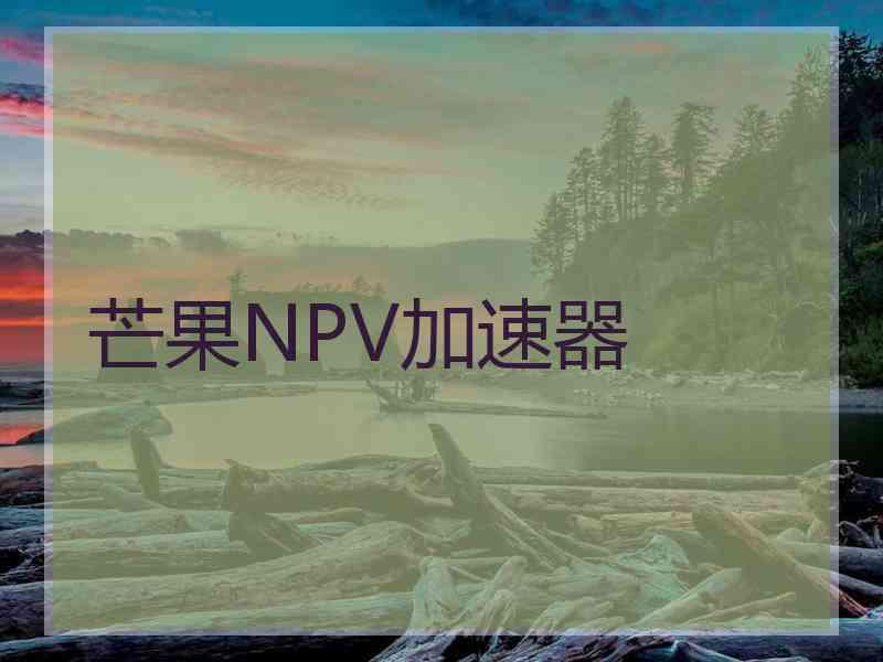 芒果NPV加速器