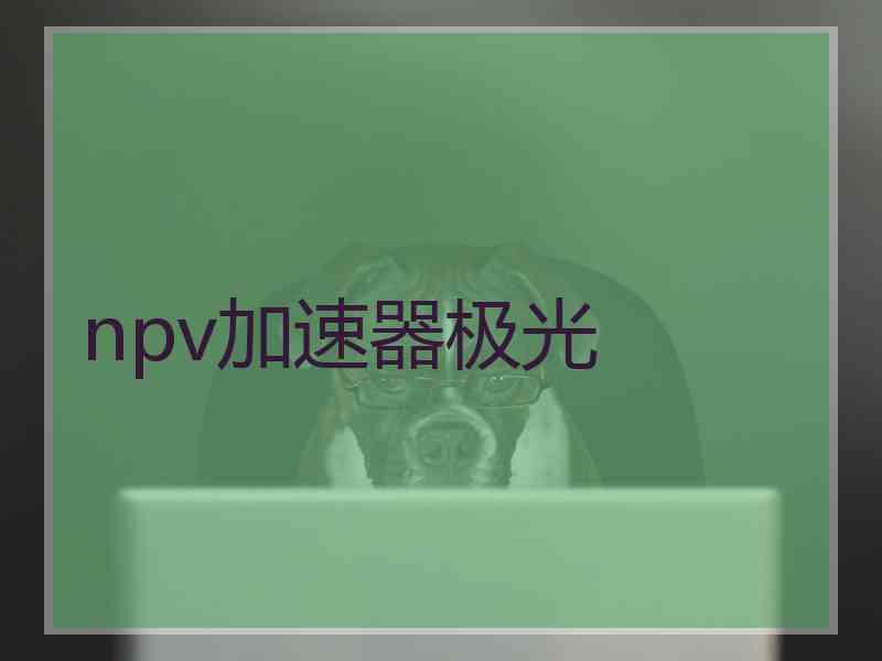 npv加速器极光