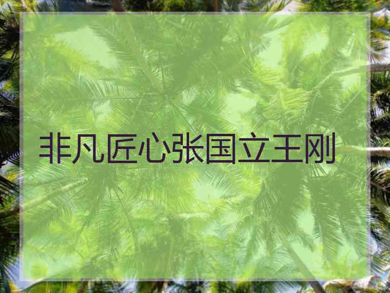 非凡匠心张国立王刚