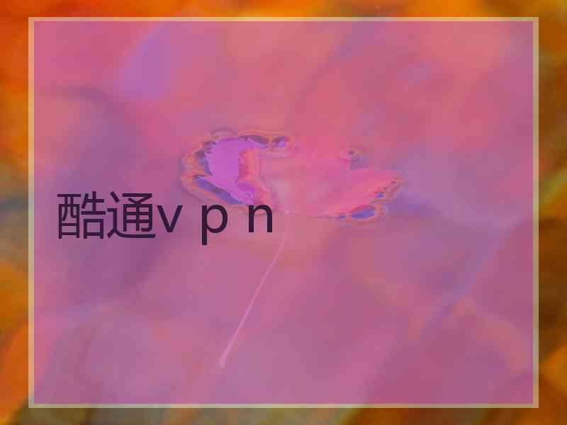 酷通v p n