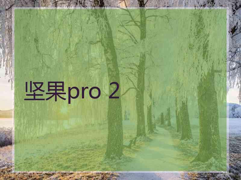 坚果pro 2