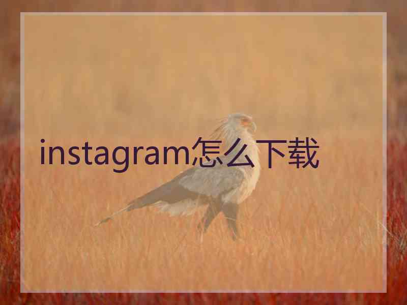 instagram怎么下载