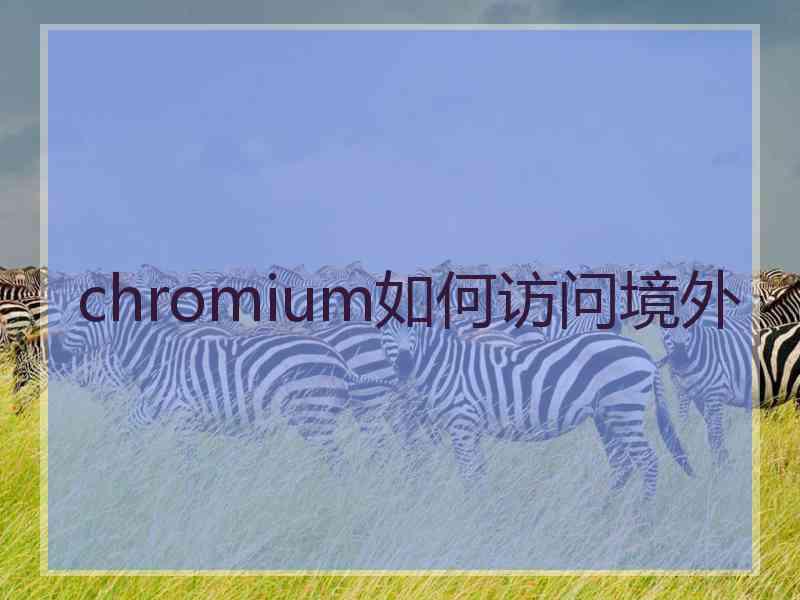 chromium如何访问境外