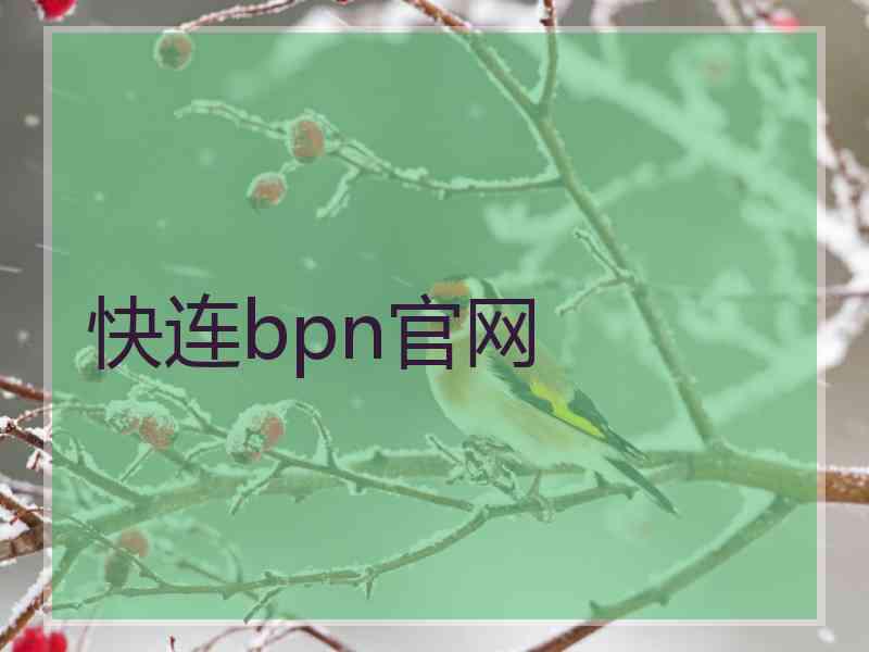 快连bpn官网