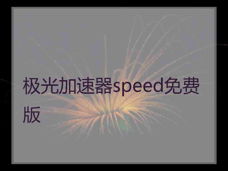 极光加速器speed免费版