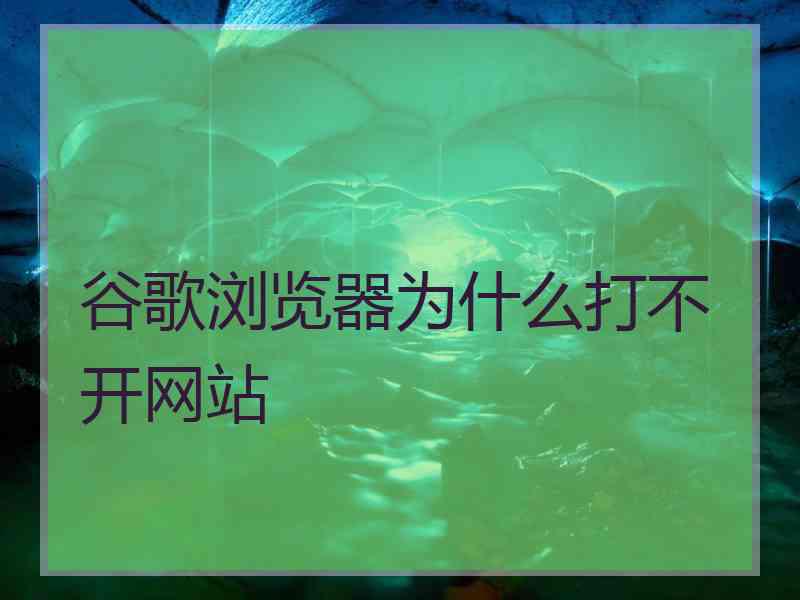 谷歌浏览器为什么打不开网站