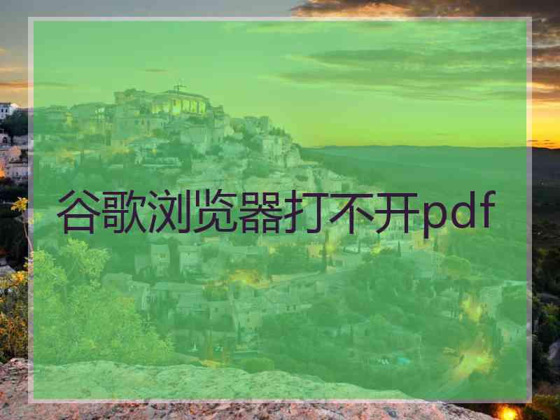 谷歌浏览器打不开pdf