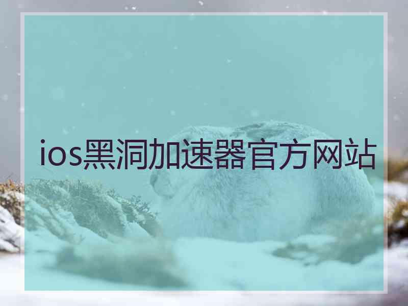 ios黑洞加速器官方网站