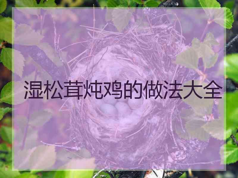 湿松茸炖鸡的做法大全