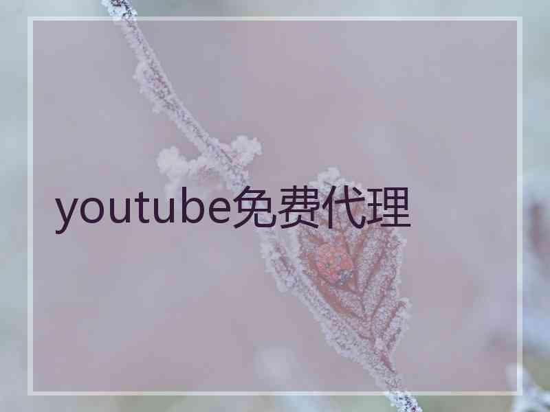 youtube免费代理