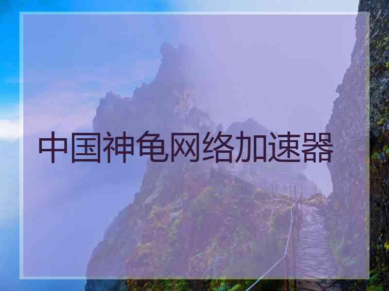 中国神龟网络加速器