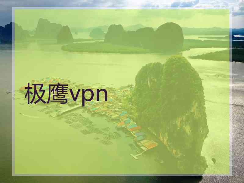 极鹰vpn