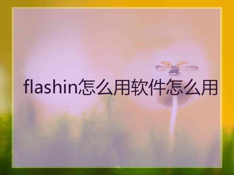 flashin怎么用软件怎么用