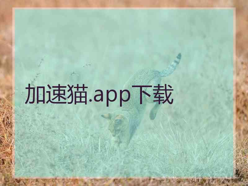 加速猫.app下载