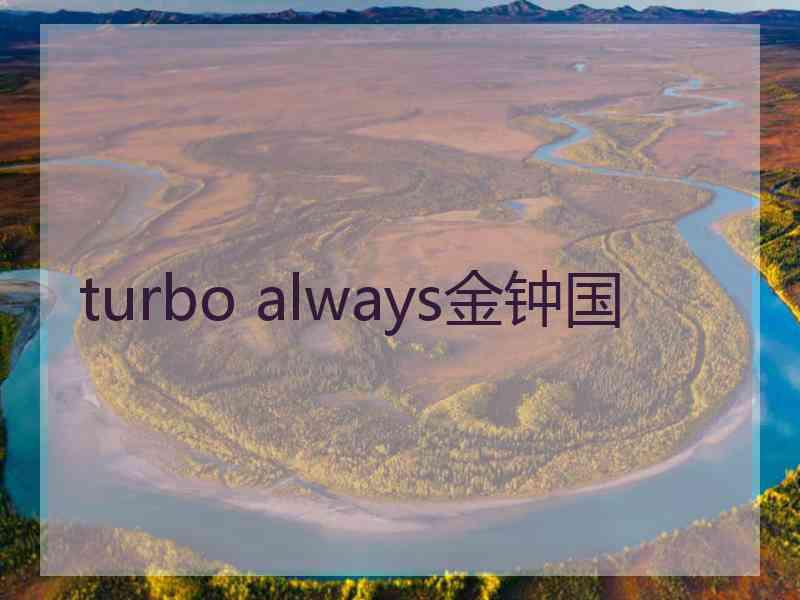 turbo always金钟国