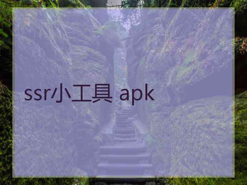 ssr小工具 apk