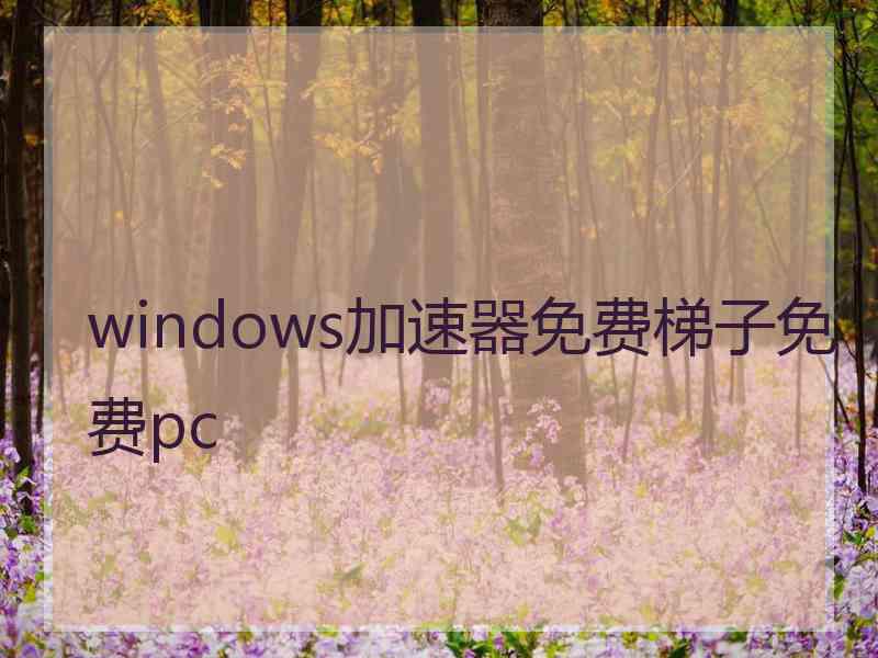 windows加速器免费梯子免费pc