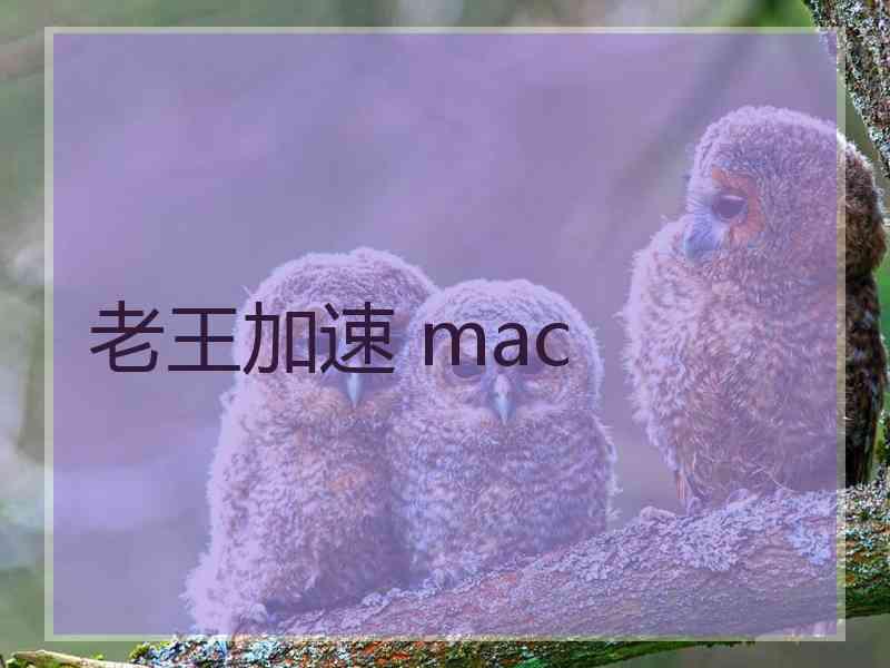 老王加速 mac