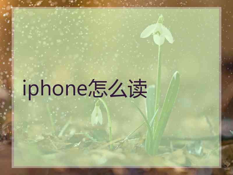 iphone怎么读