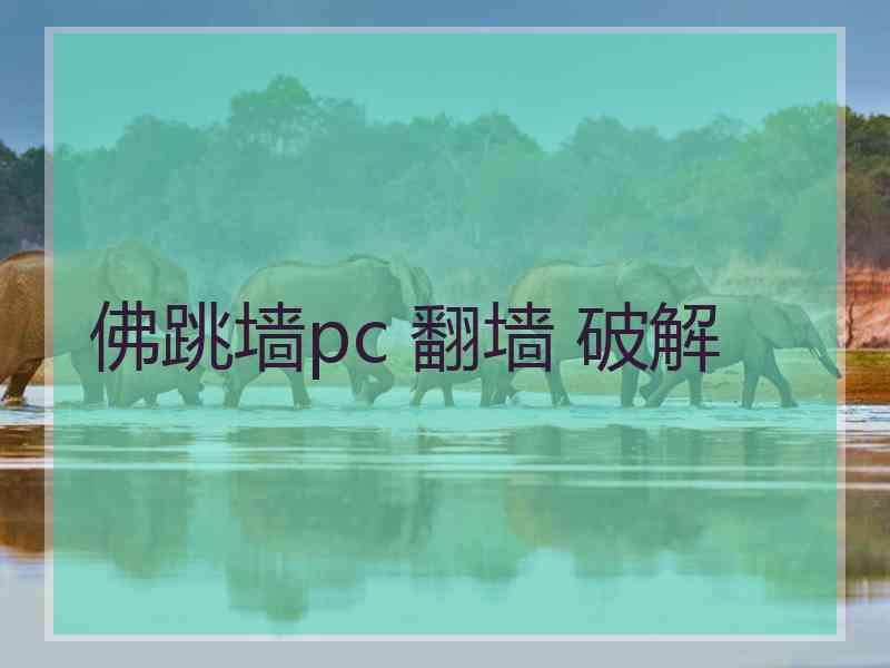 佛跳墙pc 翻墙 破解