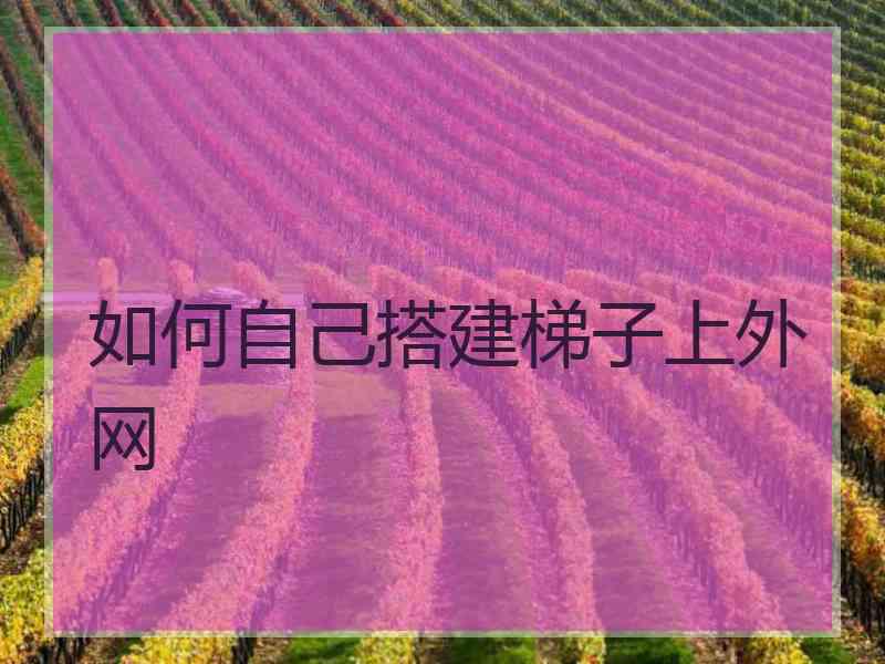 如何自己搭建梯子上外网