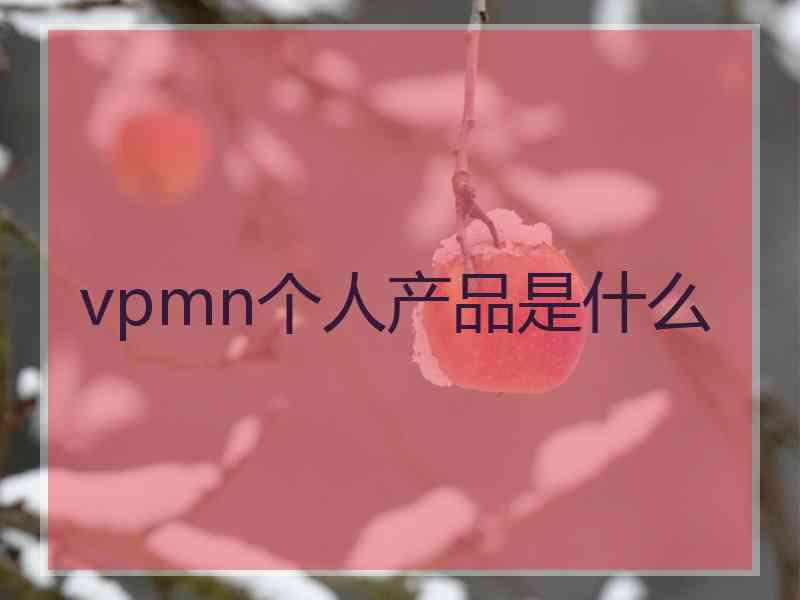 vpmn个人产品是什么