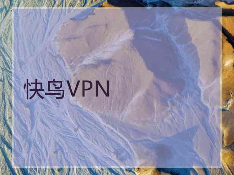 快鸟VPN