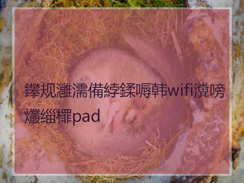 鑻规灉濡備綍鍒嗕韩wifi瀵嗙爜缁檌pad