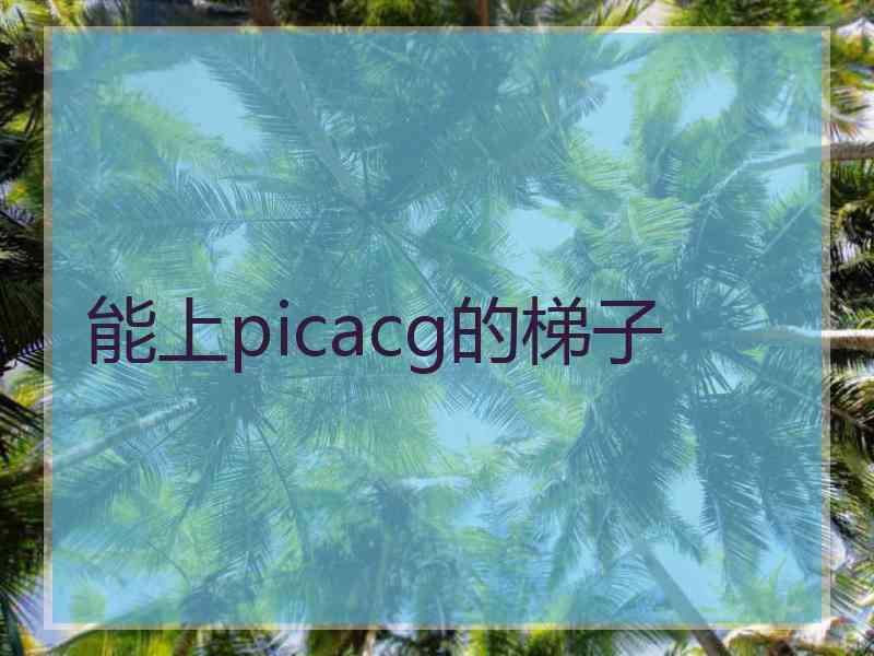 能上picacg的梯子