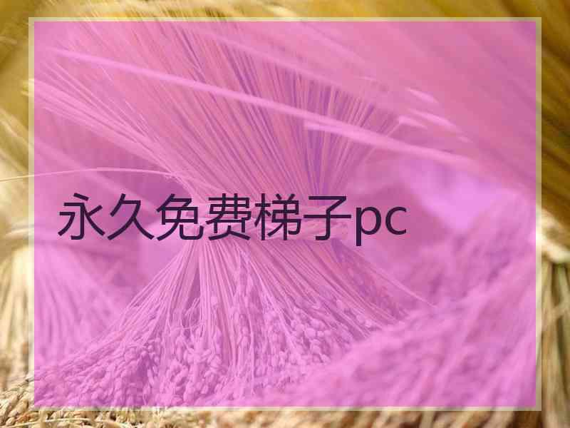 永久免费梯子pc