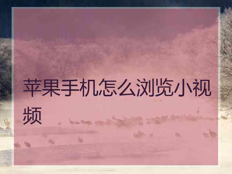 苹果手机怎么浏览小视频