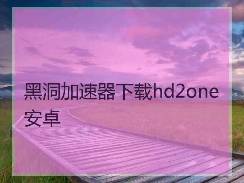 黑洞加速器下载hd2one安卓