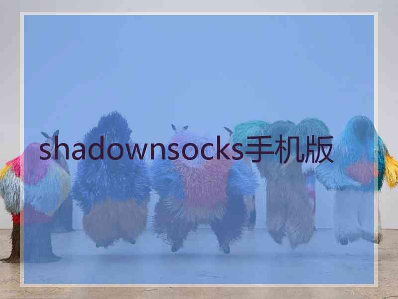 shadownsocks手机版