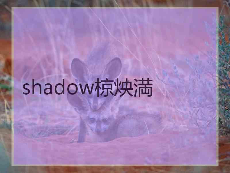 shadow椋炴満