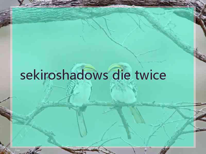 sekiroshadows die twice