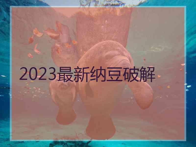 2023最新纳豆破解