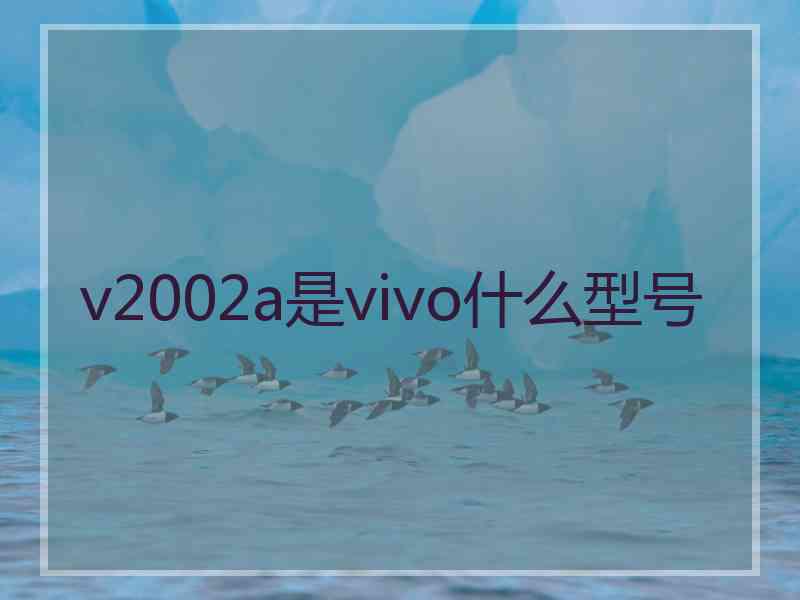 v2002a是vivo什么型号