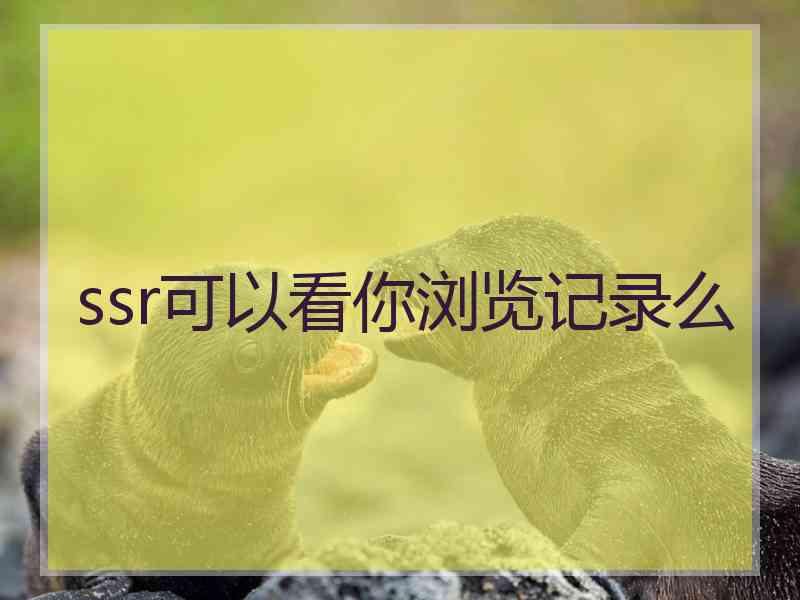 ssr可以看你浏览记录么