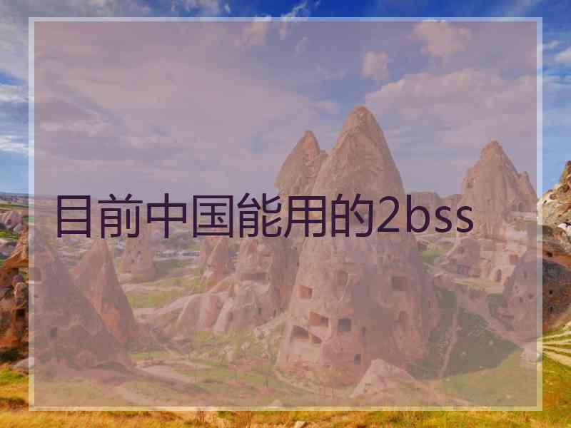 目前中国能用的2bss